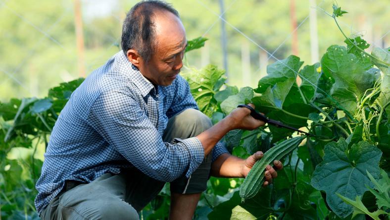 经济学,对个人意味着什么?